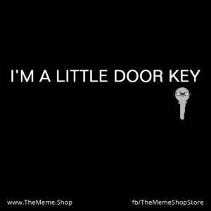 I'm A Little Door Key